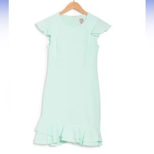 NWT Nordstrom Ruffle Mini Dress